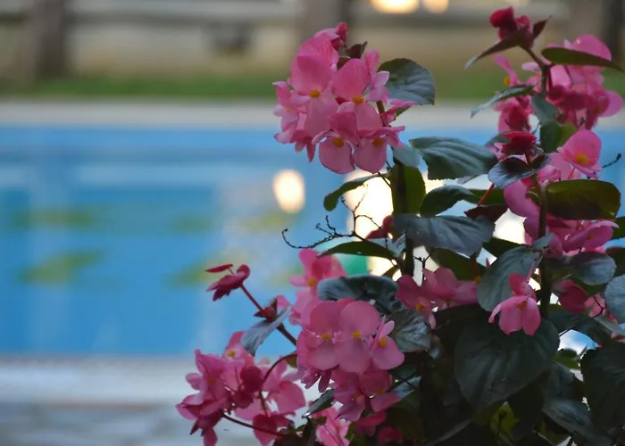 Corfu Hellinis 卡诺尼