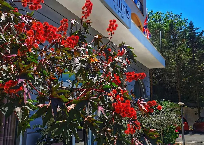 酒店 Corfu Hellinis 3*