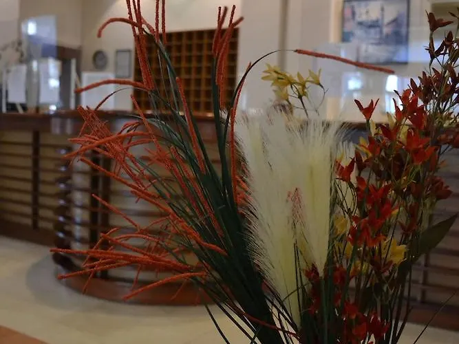 ελληνίς Ξενοδοχείο Κανόνι